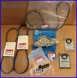 Genuine OEM Acura 3.2 TL / CL V6 Timing Belt Water Pump Kit with Drive Belts