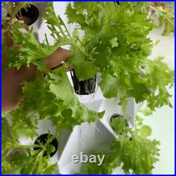 Vertical Hydroponic System Tower Garden 6 LED Grow Lights 5 lbs Fertilizer Kit